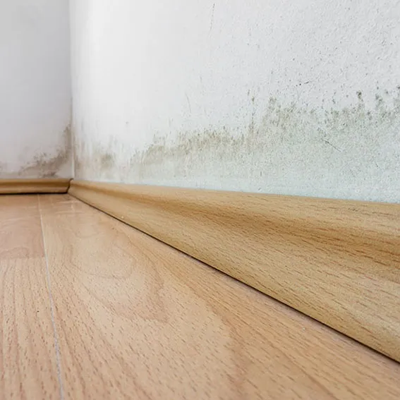 Arieggiare casa contro umidità e muffa: ventilazione naturale o meccanica?